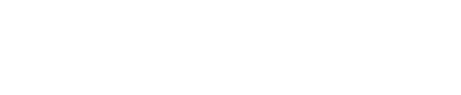 LaserGarage